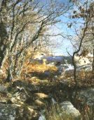 Haga click para ampliar la imagen