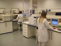 Haga click para ampliar la imagen